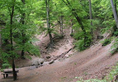 nemzetipark