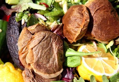 food-waste-vison-2011-006