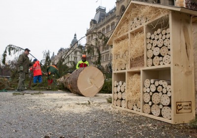 MA 49: Baum fällt! Aus Weihnachtsbaum vom Rathausplatz werden Nützlingshotels