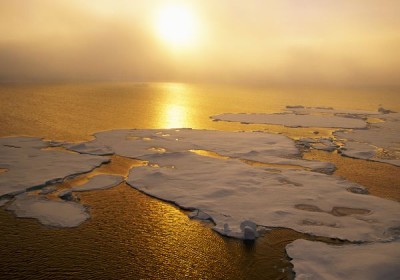 what-global-warming_6372_600x450