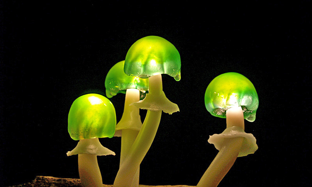 Mushroom-LED-lamp-Yukio-Takano-Great-Mushrooming-12-1020x610