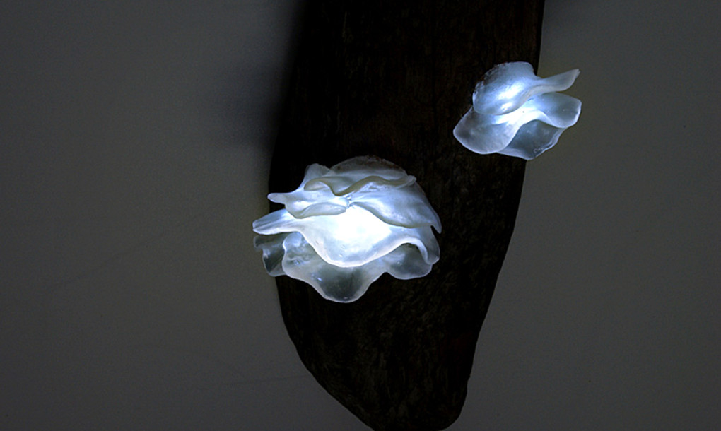 Mushroom-LED-lamp-Yukio-Takano-Great-Mushrooming-4-1020x610