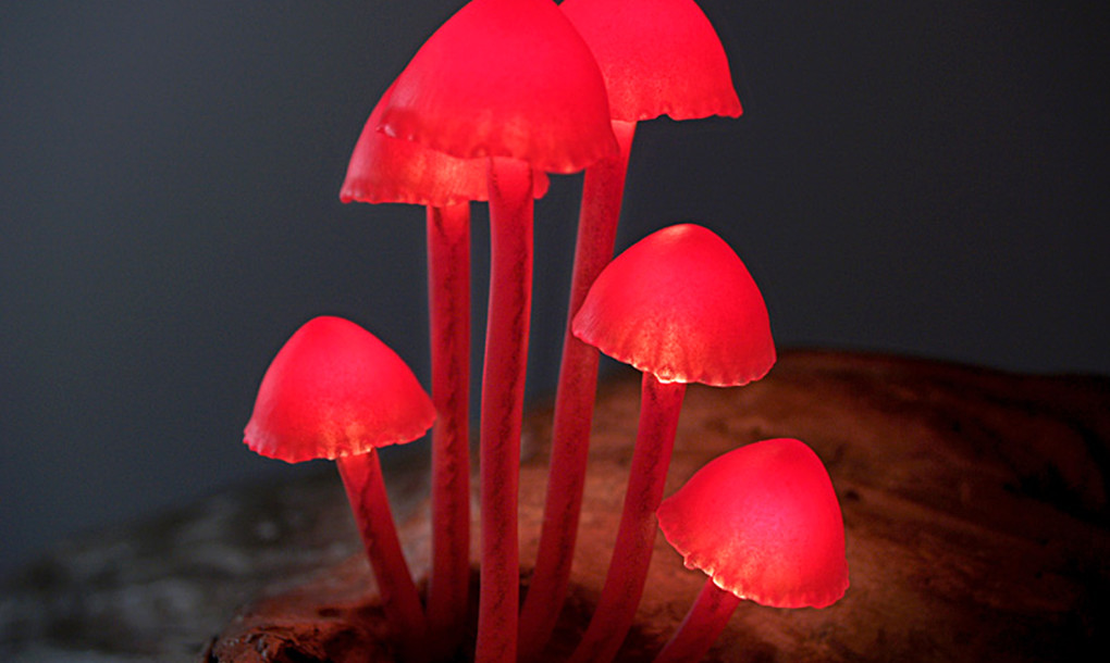Mushroom-LED-lamp-Yukio-Takano-Great-Mushrooming-5-1020x610