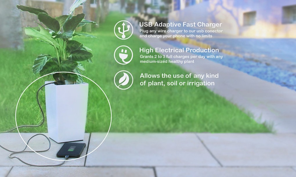 Bioo-planter-pot-1020x610