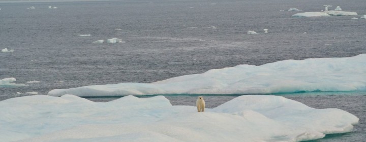 arctic2