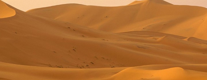 sahara1