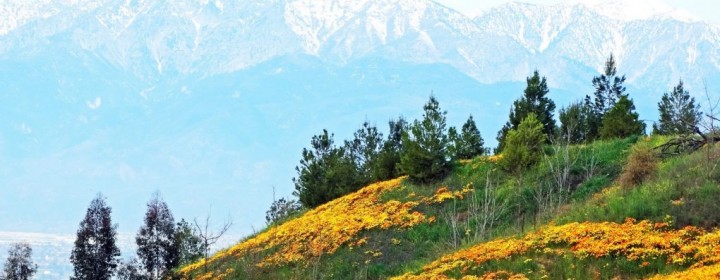 california2