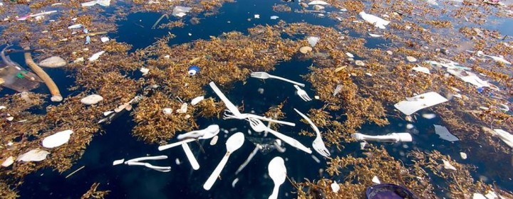 plastic2