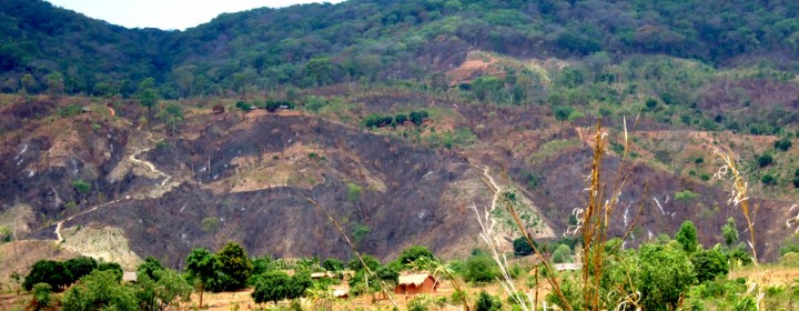 Deforestation-in-Nkhata-Bay-District-RIPPLE-Africa-Charity