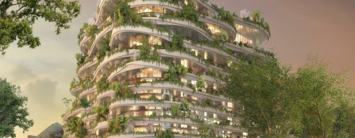 arboricole-callebaut-2