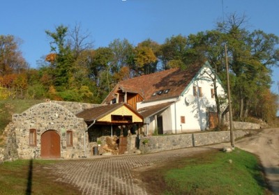 biobor