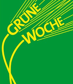 grüne w 2011