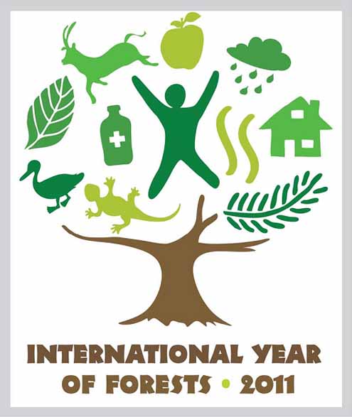 erdők nemzetközi évének logója