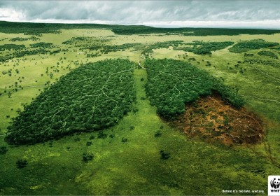wwf