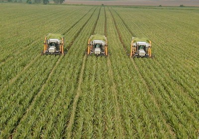 agricultur