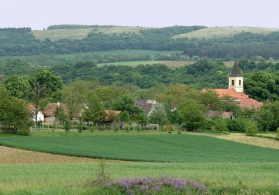 bakonykuti21