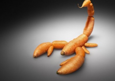 gmo