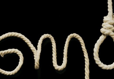gmo_noose