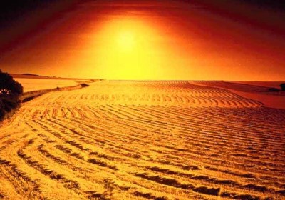 desert2