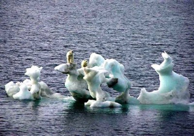 CANADA FRANCE CLIMATE CHANGE