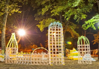 _DSC8156xx