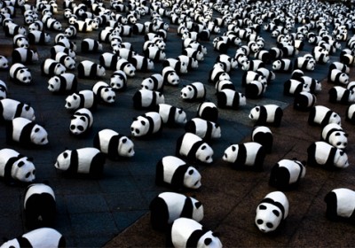 panda_wwf_1
