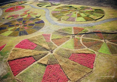 jardin_1