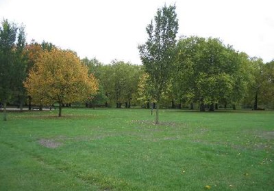park
