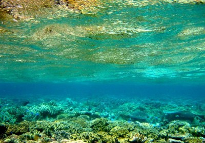 ocean