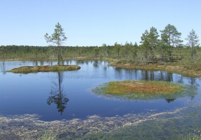 láp