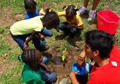 volunteer-in-the-caribbean--4ec16d15d64205c5baf4