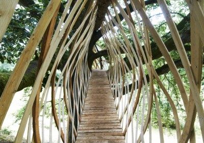 treehouse
