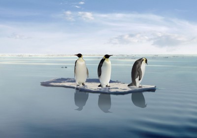 3penguinsweb