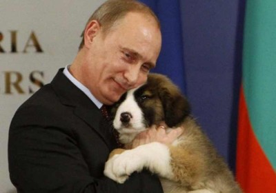 putincute