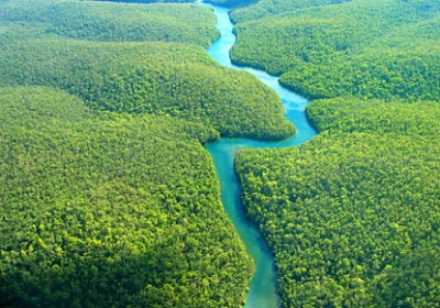 amazonasperu