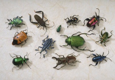 bugs