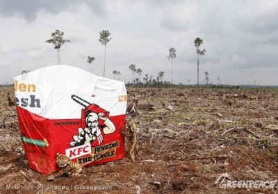 greenpeacecampain