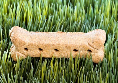 pet