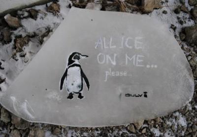 All ice on me