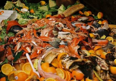 dumpster-food