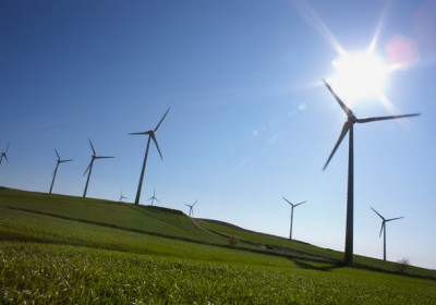 Wind farm and agricultural field
