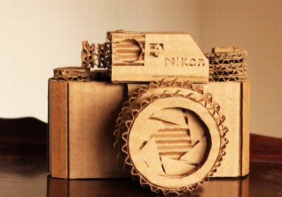 Karton Nikon
