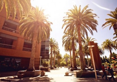 palo-alto-1-537x325
