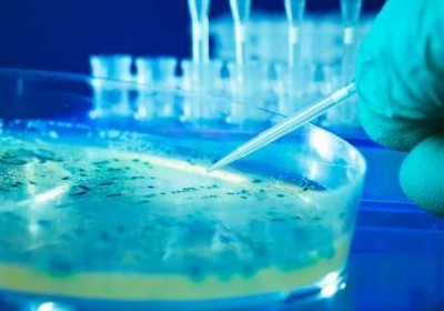 r_630-bacteria-is-key-to-keeping-drink-water-clean--says-research-