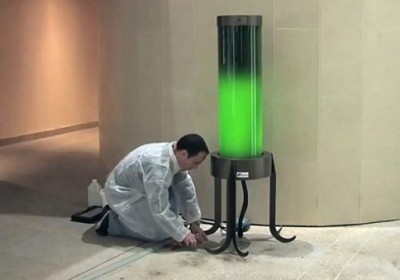 algae-streetlight-537x359