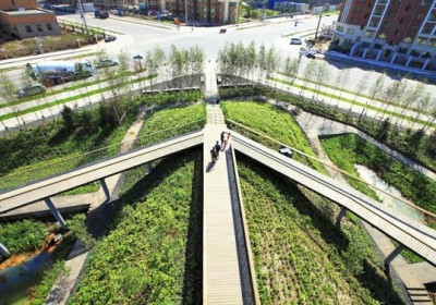 Turenscape-Qunli-Stormwater-Wetland-Park
