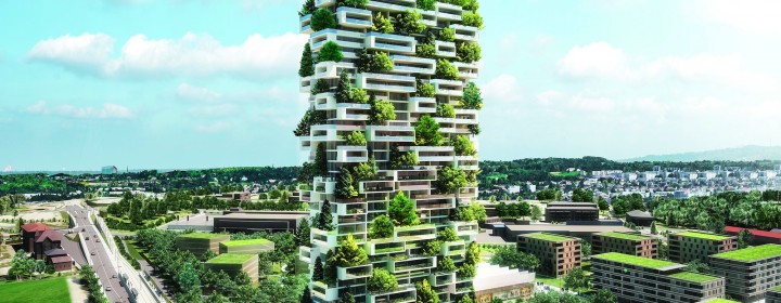 tower-of-the-cedars