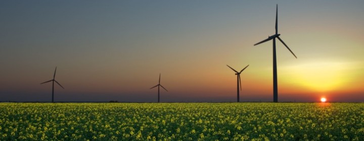 wind-turbines-with-rapeseed-889x579