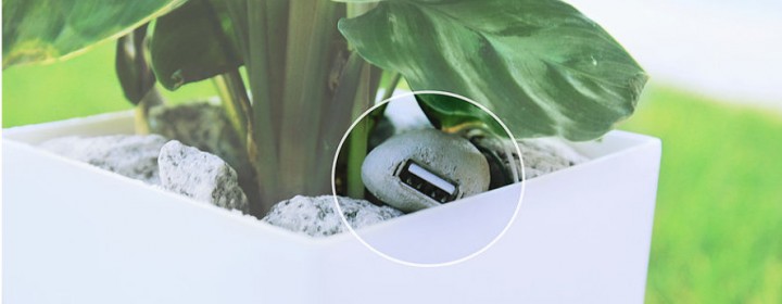 Bioo-usb-rock