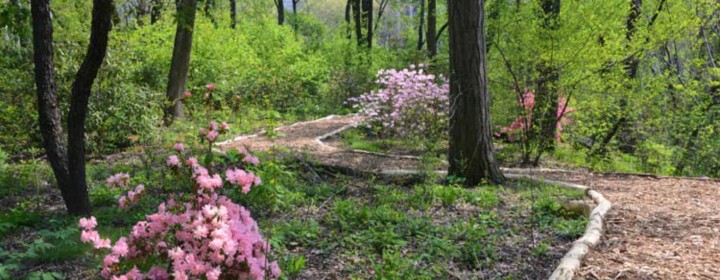Hallett-Nature-Sanctuary